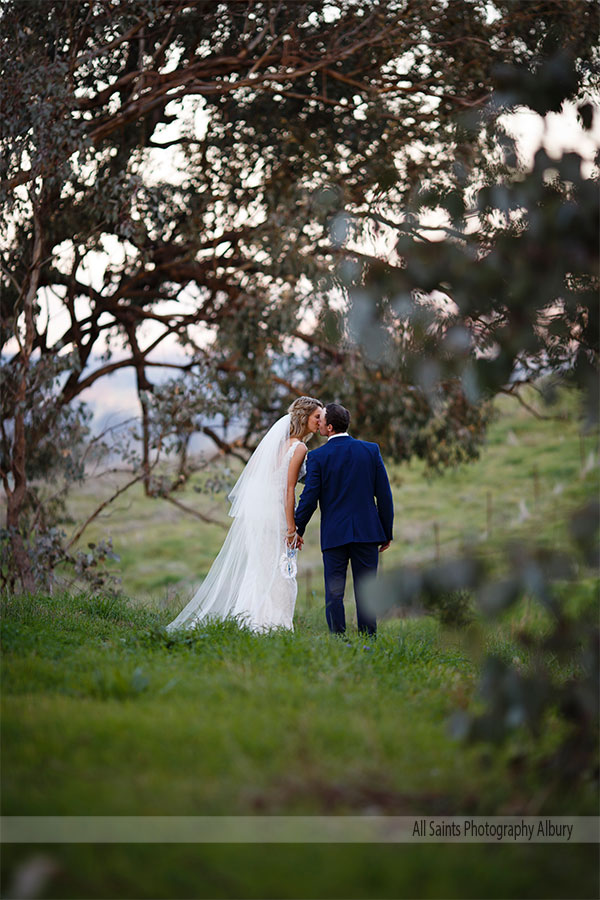 Catherine and Damien's wedding in St Patricks Hall, Albury. | h029.jpg