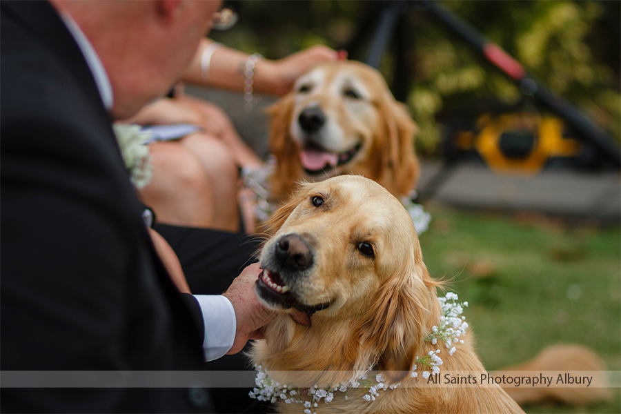 Lauren and Jason's wedding at Yarrawonga. | ls029.jpg