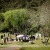 Emma and Clint's wedding at the Mitta Mitta Pub. | b014.jpg