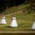 Emma and Clint's wedding at the Mitta Mitta Pub. | b011.jpg