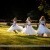 Emma and Clint's wedding at the Mitta Mitta Pub. | b028.jpg