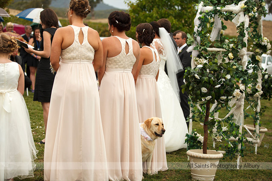 Kelsey and Bradley's wedding at Feathertop Private Estate Porepunkah, Victoria. | g011.jpg