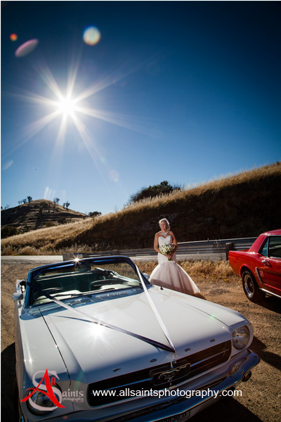 Jess and Rob's Albury Wedding | Albury Wedding Photographers  | sg041.jpg