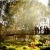 Erin and Joshua wedding at St Marys' , Myrtleford. | ed033.jpg