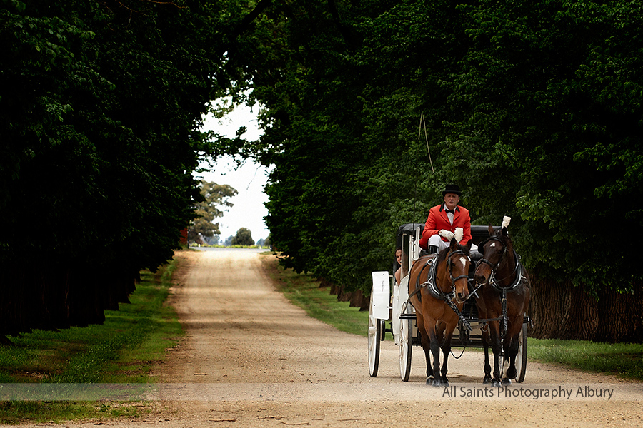 Claire and Andrew's wedding at All Saints Estate Rutherglen. | All-Saints-Estate-Rutherglen-weddings-bulleri0002.JPG