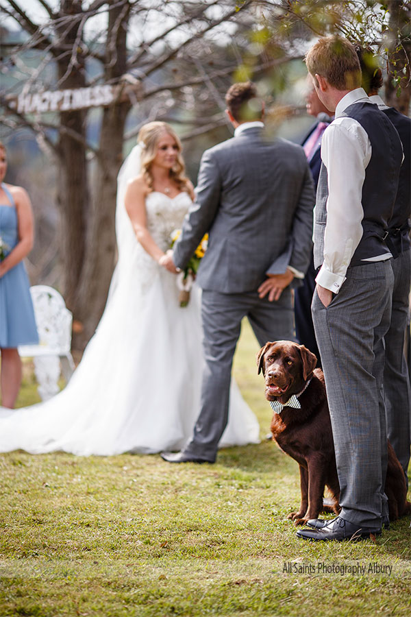 Jenna and Jamie's Peregrines Table Top Wedding | Peregrines-Table-Top-mountain-weddings-Jenna-Jamie0019.JPG