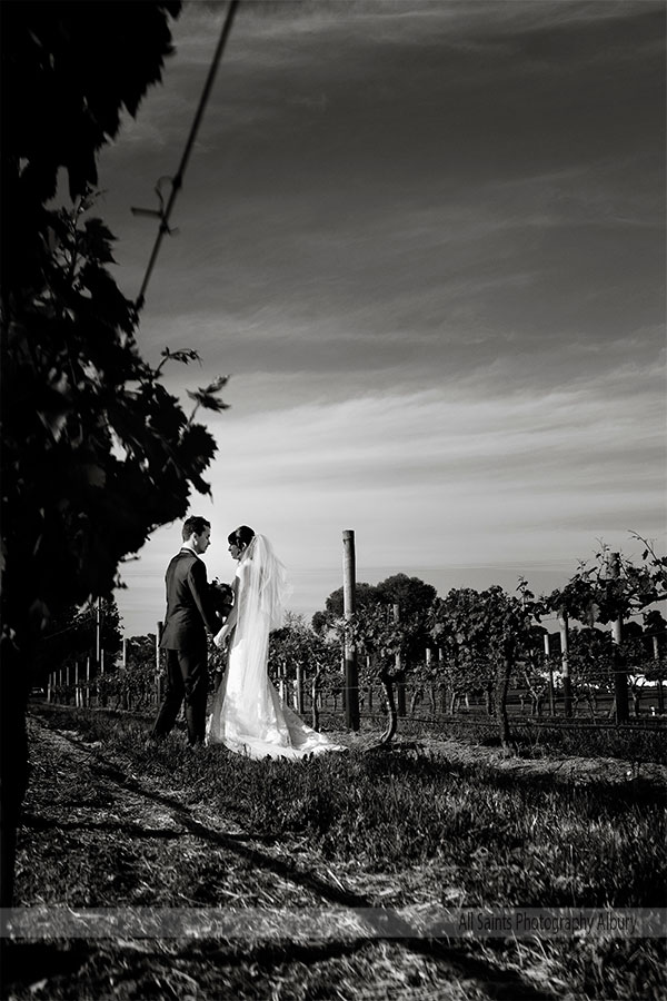 Natasha and David's at De Bortoli Wines, Rutherglen. | Tuileries-Rutherglen-weddings-Natasha-David-0030.JPG