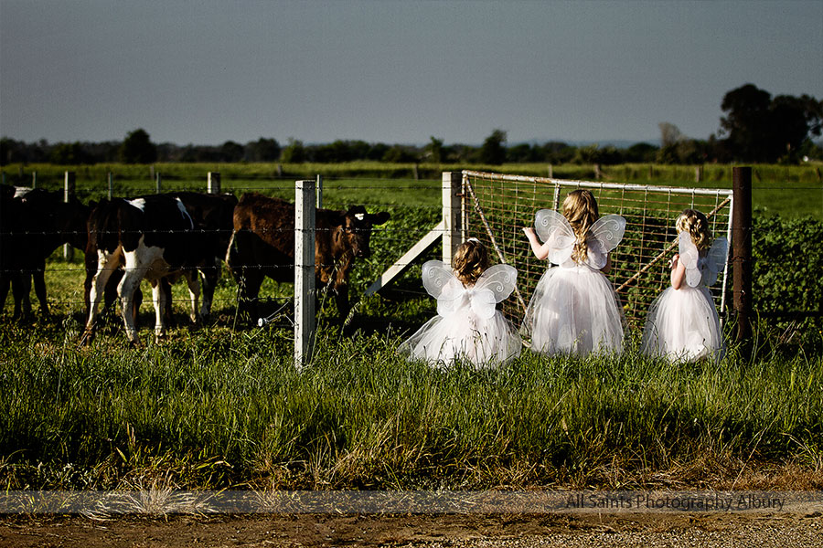 Eliza and Troy' Brown Brothers Winery Wedding. | Brown-Brothers-Winery-Milawa-weddings-Eliza-Troy-0018.JPG