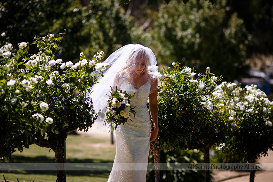 Melissa and Kane's Gypsy Gardens Wedding | Gypsy-Gardens-albury-wodonga-weddings-Melissa-Kane-0009.JPG