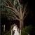 Tara and Travis  Wedding at The Boat Shed Lake Hume. | Lake-Hume-Resort-Albury-weddings-Tara-Travis-0047.JPG