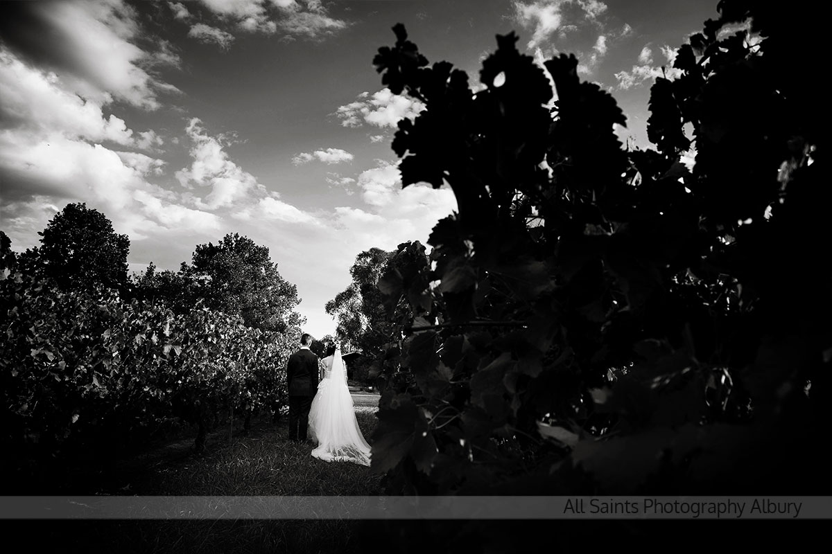 Natalie & Vincent's Brown Brothers Milawa, Winery Wedding. | brown-brothers-milawa-weddings-Natalie-Vincent-0045.JPG