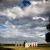 Natalie & Vincent's Brown Brothers Milawa, Winery Wedding. | brown-brothers-milawa-weddings-Natalie-Vincent-0046.JPG