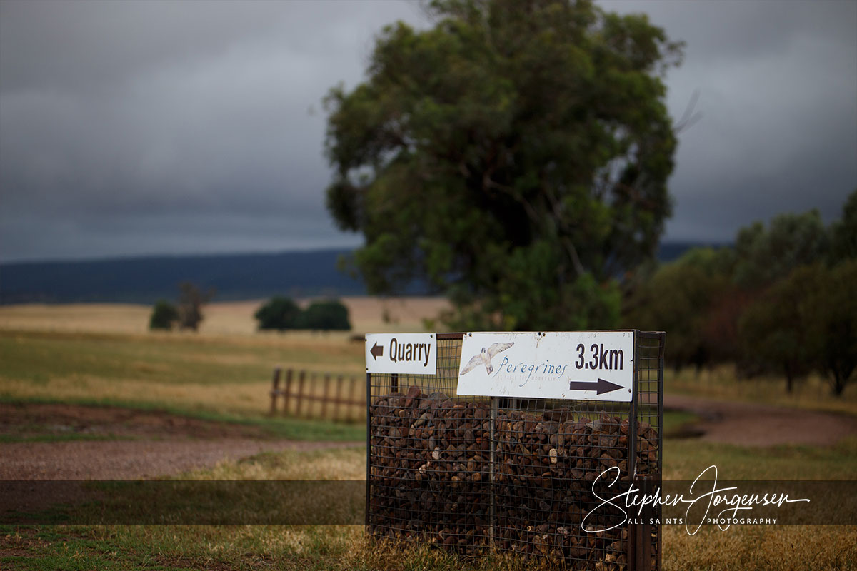 Jess and Jules Wedding Renewal at Peregrines Reception Centre Table Top Mountain | Peregrines-Event-Centre-Tabletop-Mountain-Albury-weddings-Jess-Jules-0008.jpg