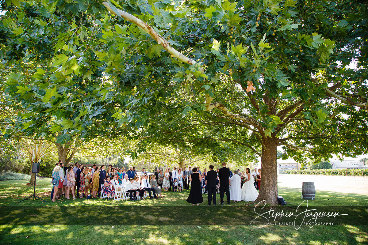 Beth and Josh's Wedding at Brown Brothers Winery Milawa. | brown-brothers-milawa-weddings-Beth-Josh-0022.jpg