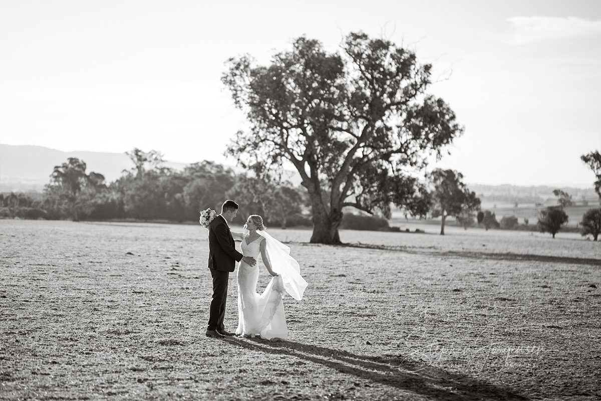 Emily and Jake's Wedding at Peregrine's Table Top Mountain | Peregrines-weddings-Emily-Jake-0052.jpg