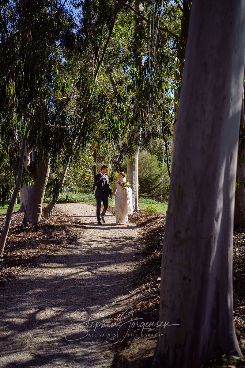 Megan and Daniel's wedding at Brown Brothers Winery, Milawa. | Brown-Brothers-winery-milawa-weddings-Megan-Daniel-0051.jpg