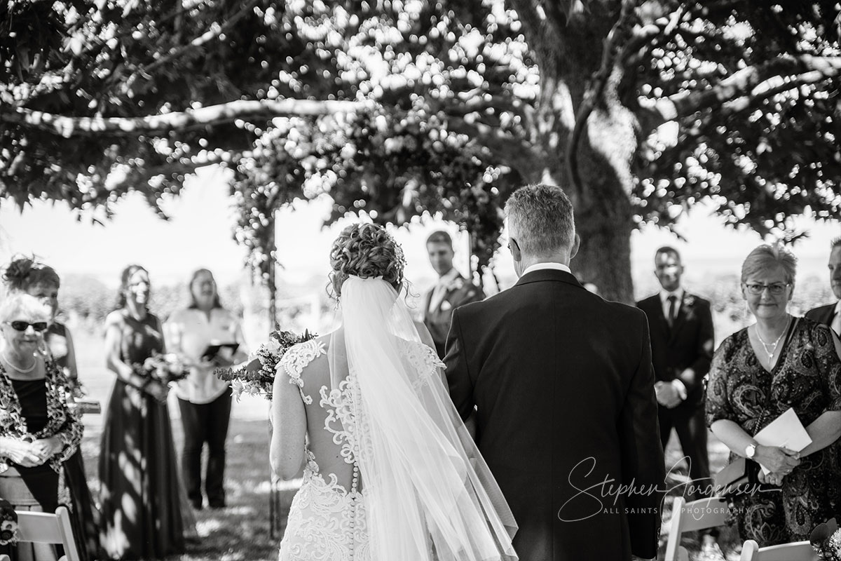 Megan and Daniel's wedding at Brown Brothers Winery, Milawa. | Brown-Brothers-winery-milawa-weddings-Megan-Daniel-0032.jpg