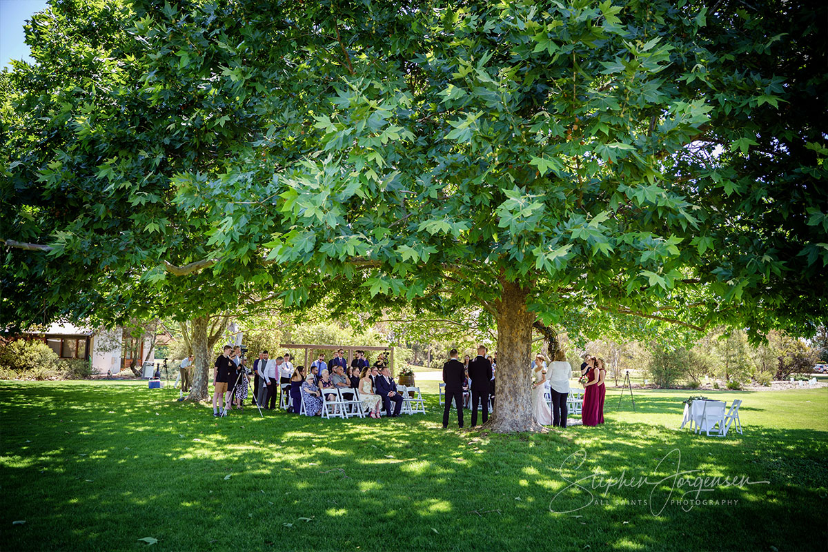 Megan and Daniel's wedding at Brown Brothers Winery, Milawa. | Brown-Brothers-winery-milawa-weddings-Megan-Daniel-0033.jpg