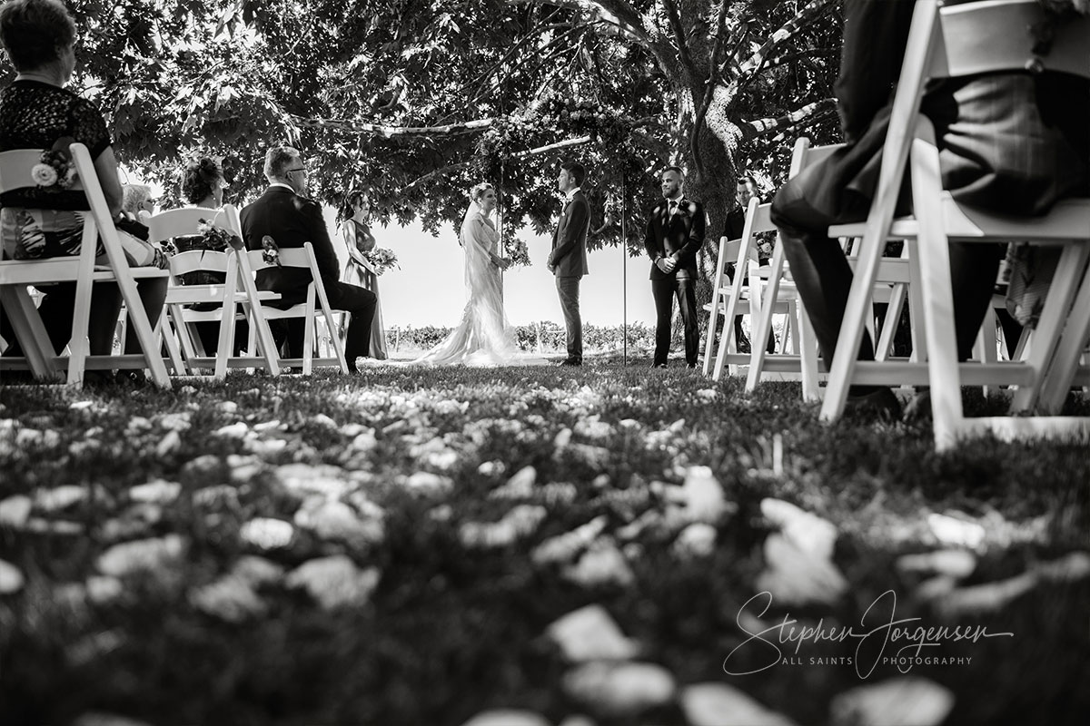 Megan and Daniel's wedding at Brown Brothers Winery, Milawa. | Brown-Brothers-winery-milawa-weddings-Megan-Daniel-0035.jpg