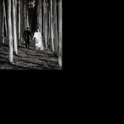 Miranda and James's Wedding at Brown Brothers Winery, Milawa  | Milawa Wedding Photographers | Brown-Brothers-Milawa-weddings-Miranda-James-0041.jpg