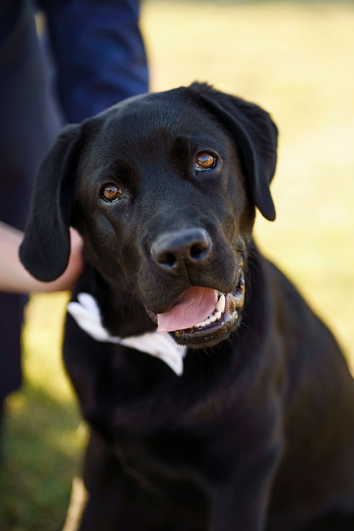 Fleur and Daniel's Wedding at De Bortoli Wines, Rutherglen. | Tuileries-at-Debortoli-Winery-Rutherglen-Weddings-Fleur-Daniel-0030.jpg