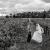 Stacey and Nathan's wedding at The Wild Vine Vineyard  Wagga. | The-Wild-Vine-Wagga-Weddings-Stacey-Nathan-0026.jpg