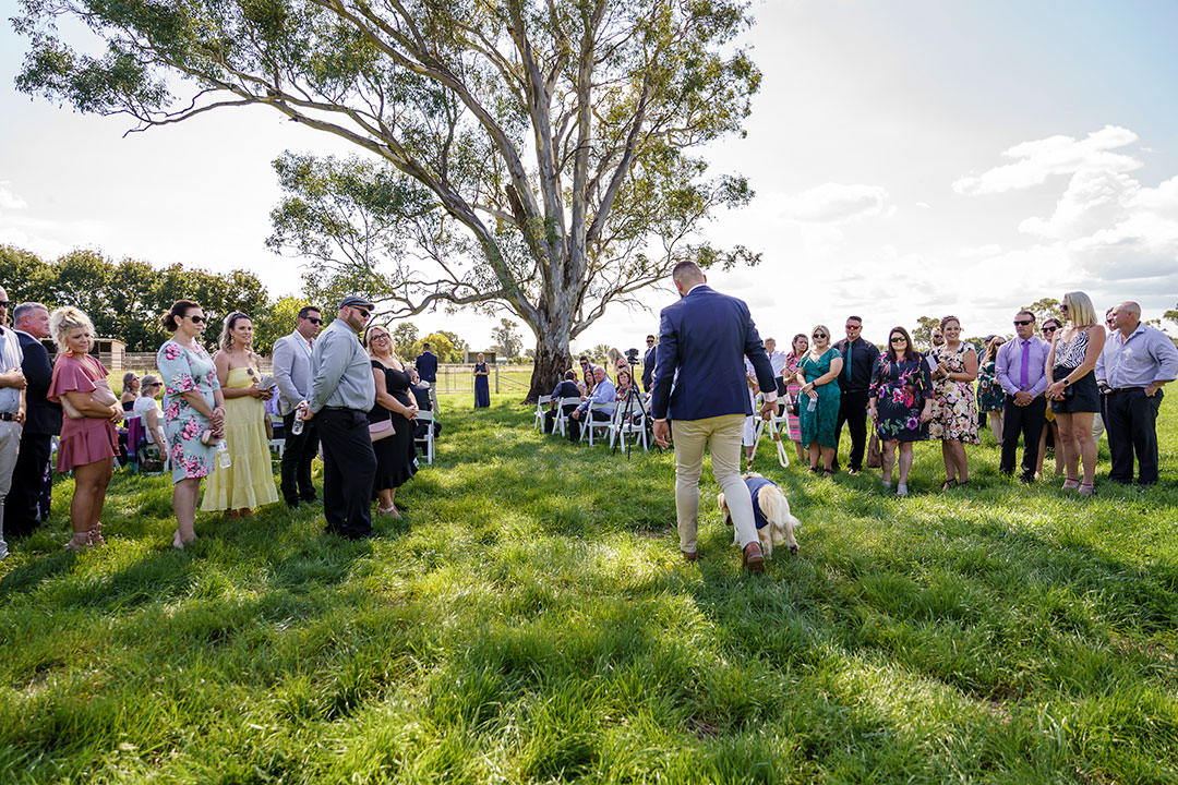 Lisa and Jake's Albury Wedding. | Albury-Weddings-Lisa-Jake-0016.jpg