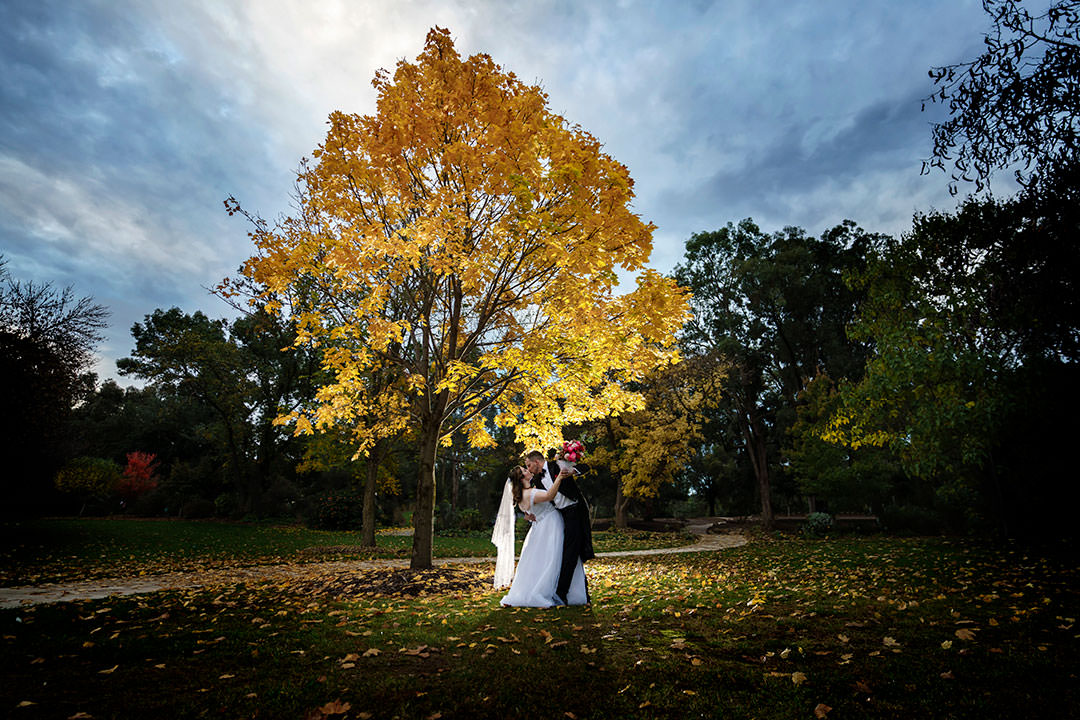 Laura and Lachlan's wedding at The Tree Chapple, Wagga Wagga Botanical Gardens. | Wagga-Weddings-Laura-Lachlan-0041.jpg