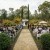 Laura and Lachlan's wedding at The Tree Chapple, Wagga Wagga Botanical Gardens. | Wagga-Weddings-Laura-Lachlan-0020.jpg