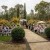 Laura and Lachlan's wedding at The Tree Chapple, Wagga Wagga Botanical Gardens. | Wagga-Weddings-Laura-Lachlan-0016.jpg