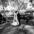 Catherine and Lukes wedding at Cofield Wines Wahgunyah. | Cofields-Winery-Wahgunyah-Weddings-Catherine-Luke-0034.jpg