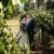 Catherine and Lukes wedding at Cofield Wines Wahgunyah. | Cofields-Winery-Wahgunyah-Weddings-Catherine-Luke-0036.jpg