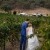 Some of the Best Wedding Venues in King Valley, Victoria: A Photographer’s Perspective | 00799.jpg