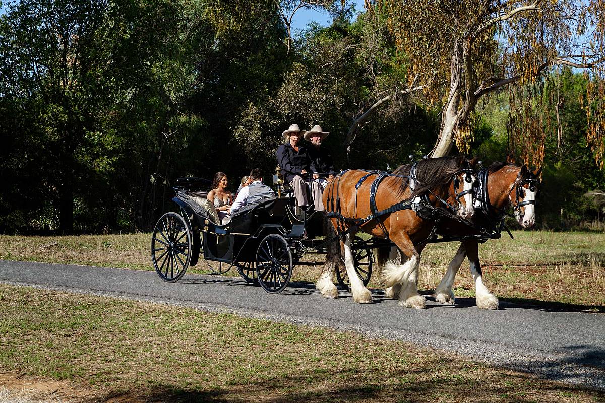 Shania & Ryan’s Wedding at McEvoy Tavern | Eldorado Wedding  | Eldorado-McEvoy-Tavern-Weddings-Shania-and-Ryan-0021.jpg