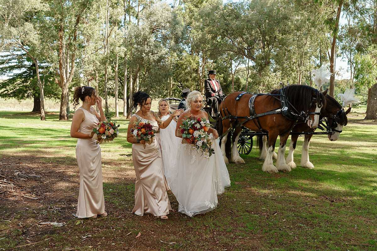 Colonial Clydesdales & Carriages Wedding | Horse & Carriage Hire NSW & VIC | AllSaintsPhotographyAlbury1004a.jpg