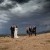 Michaela and Anthony's Wedding at Remel 185 | Whorouly wedding Photographers  | 00335.jpg
