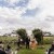 Sharduli and Evan's wedding at All Saints Estate | Rutherglen Wedding Photographers  | 00350.jpg