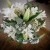 Sharduli and Evan's wedding at All Saints Estate | Rutherglen Wedding Photographers  | 00042.jpg