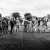 Sharduli and Evan's wedding at All Saints Estate | Rutherglen Wedding Photographers  | 00314.jpg