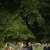 Simone and Aaron's wedding at All Saints Estate Wahgunya, Victoria | Rutherglen Wedding Photographers  | 0265.jpg