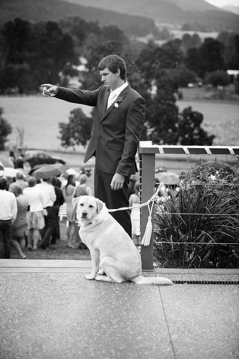 Kelsey & Bradley’s Wedding at Feathertop Private Estate | Porepunkah / Bright Wedding Photographers | 0318a.jpg