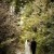 Sara and Christian's Albury Botanic Gardens Wedding | Albury Wedding Photographers | 0586.jpg