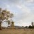 Gisele and Charles wedding at historical Beechworth Victoria | Beechworth Wedding Photographers | 0671.jpg