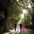 Karen and David's Albury Manor House Wedding  | Albury Wedding Photographers  | 00622.jpg