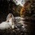 Jodie & Leigh’s Wedding in Harrietville | Harrietville Wedding Photographers | 0533.jpg