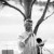 Emma and Paul's wedding at  St Edwards' of the Riverina | Wagga Wagga Wedding Photographers  | 0794.jpg