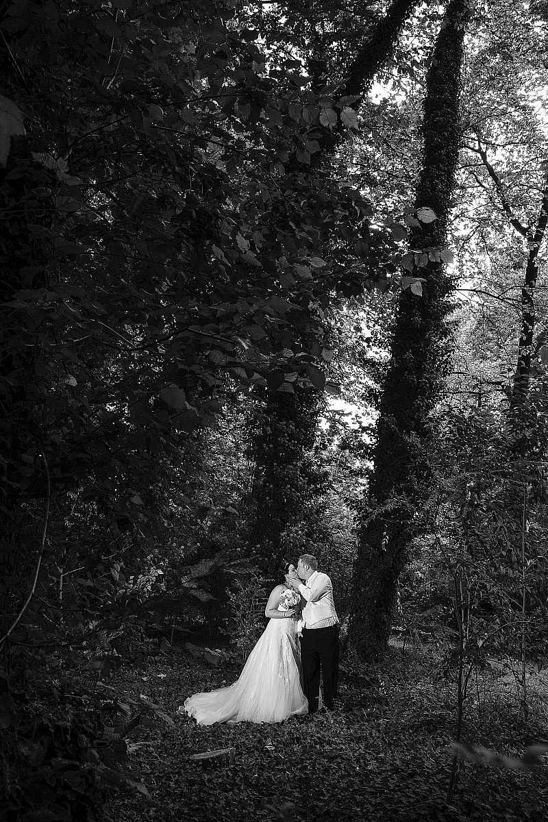 Krystal and Scott's Albury Botanical Gardens Wedding | Albury Wedding Photographers  | 00499.jpg