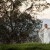 Catherine & Damien’s Wedding at St. Patrick's Hall | Albury Wedding Photographers | 00548.jpg