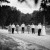 Krystal and Scott's Albury Botanical Gardens Wedding | Albury Wedding Photographers  | 00599.jpg