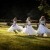 Emma and Clint's wedding at the Mitta Mitta Pub | Mitta Mitta wedding photographers  | 00557.jpg